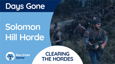 Solomon Hill Horde