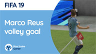 Marco Reus volley goal